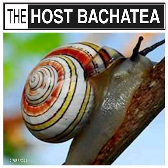 THE HOST BACHATEA