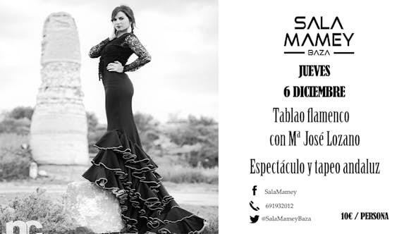 Tablao flamenco con Mª José Lozano